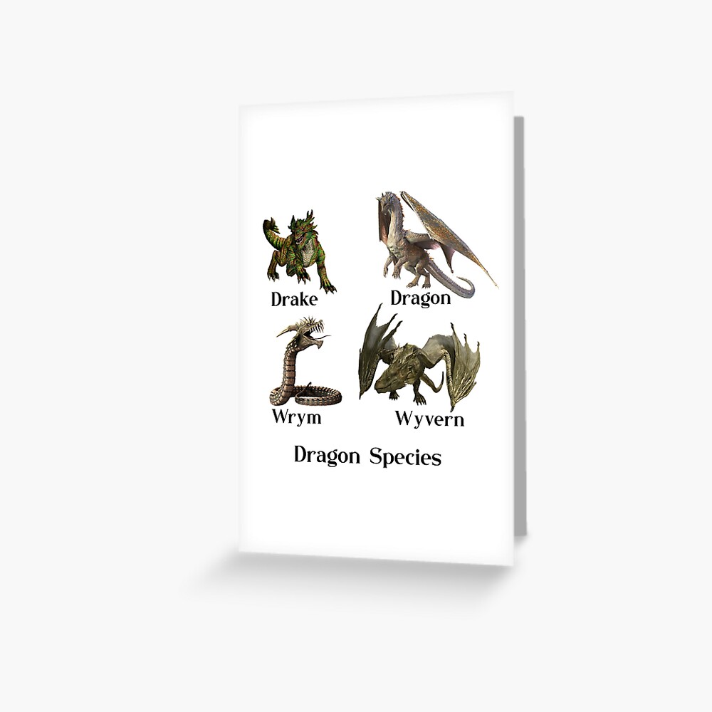 The Difference Between Dragons and Drakes – Unraveling the Myths