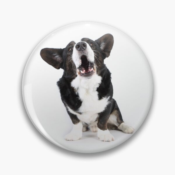 Item preview, Welsh Corgi cardigan designed and sold by JeanettesPets.
