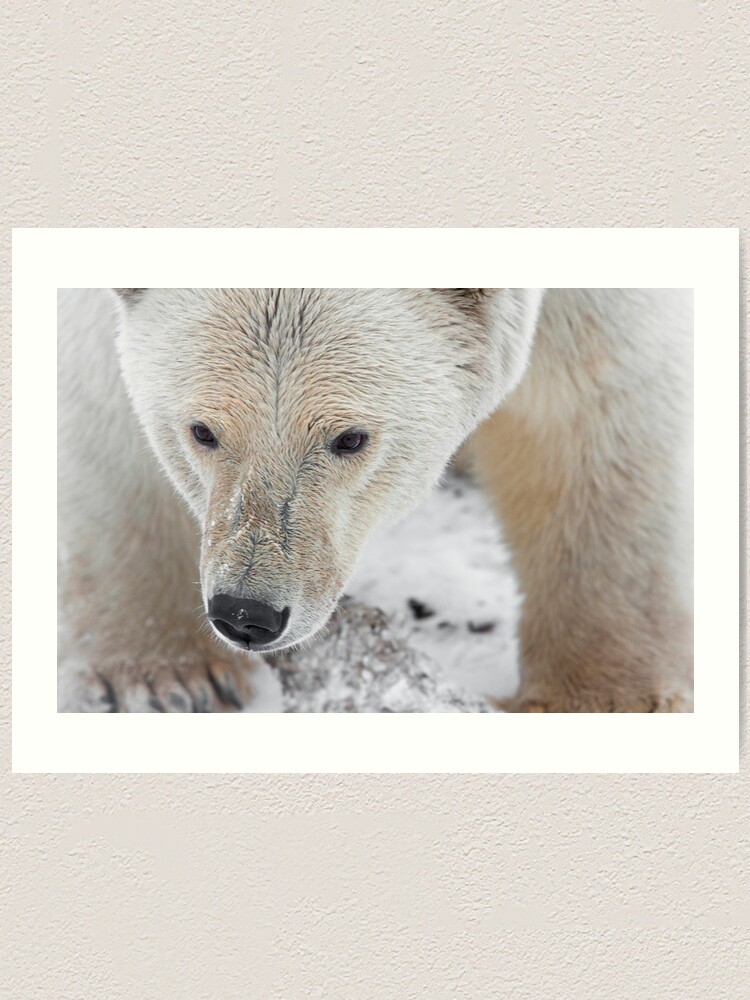 Alternate view of Up Close and Personal Art Print