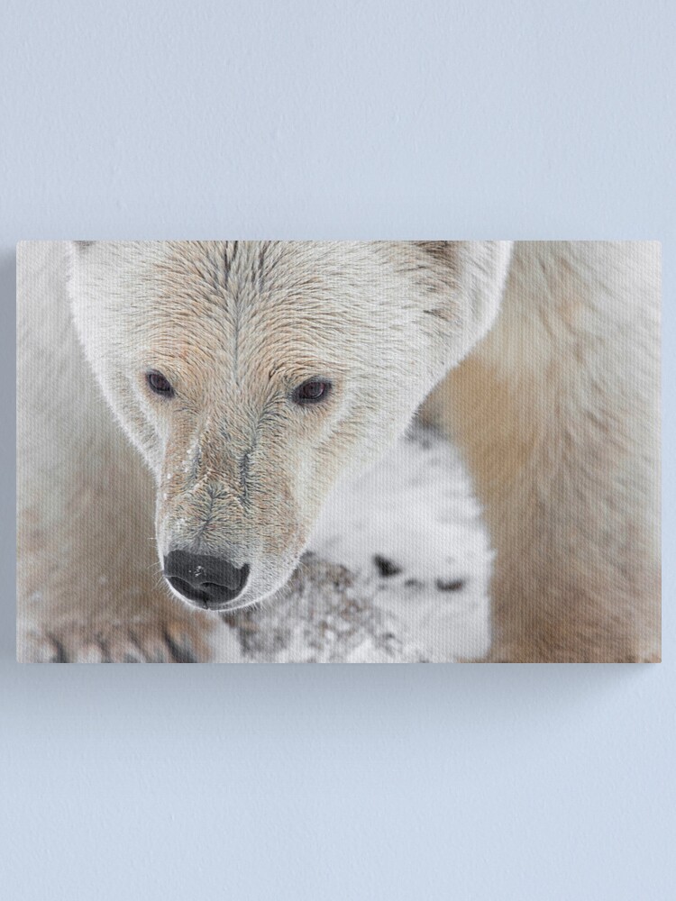 Alternate view of Up Close and Personal Canvas Print