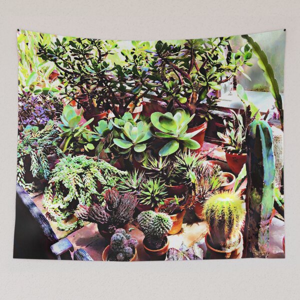 Item preview, Many Varieties of Cactus designed and sold by Susan Savad.