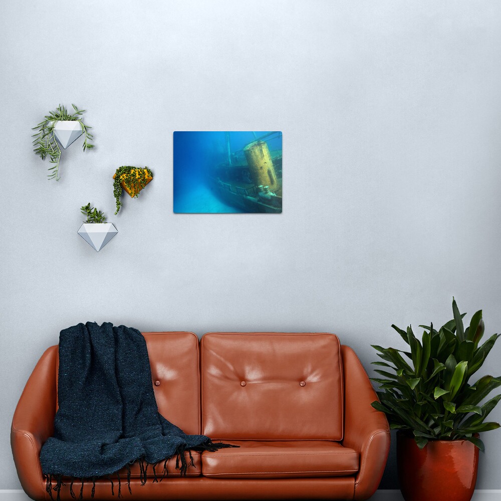 Kittiwake Wreck - Artificial Reef Celebrates Its First Birthday Metal Print