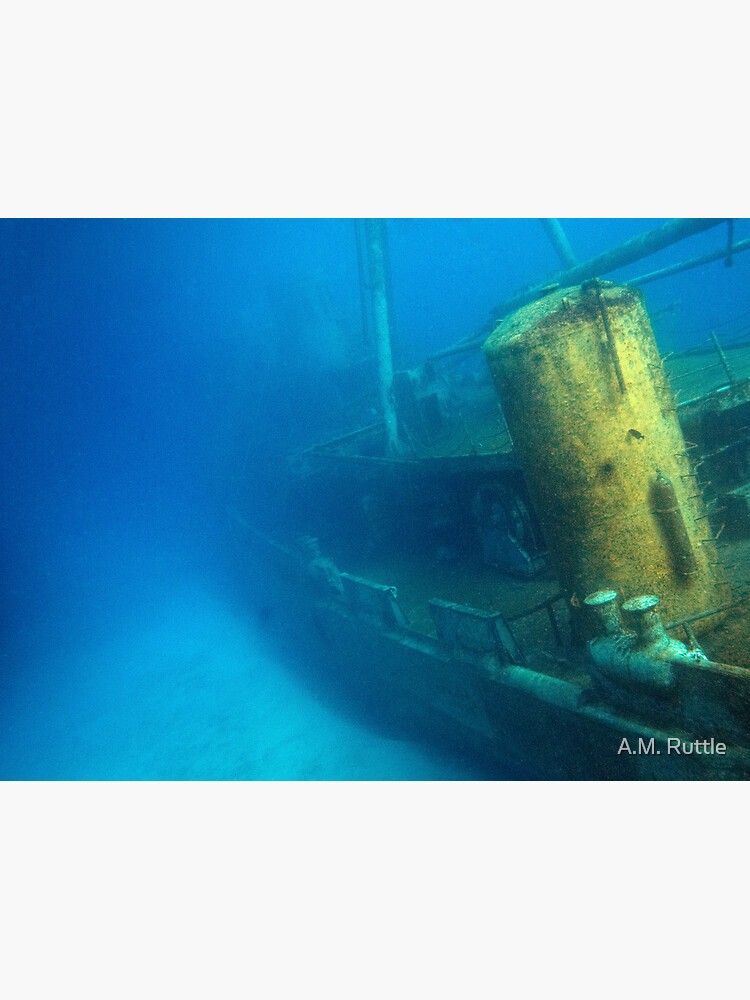 Kittiwake Wreck - Artificial Reef Celebrates Its First Birthday by annruttle