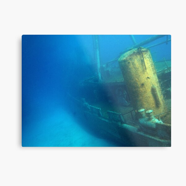 Kittiwake Wreck - Artificial Reef Celebrates Its First Birthday Metal Print