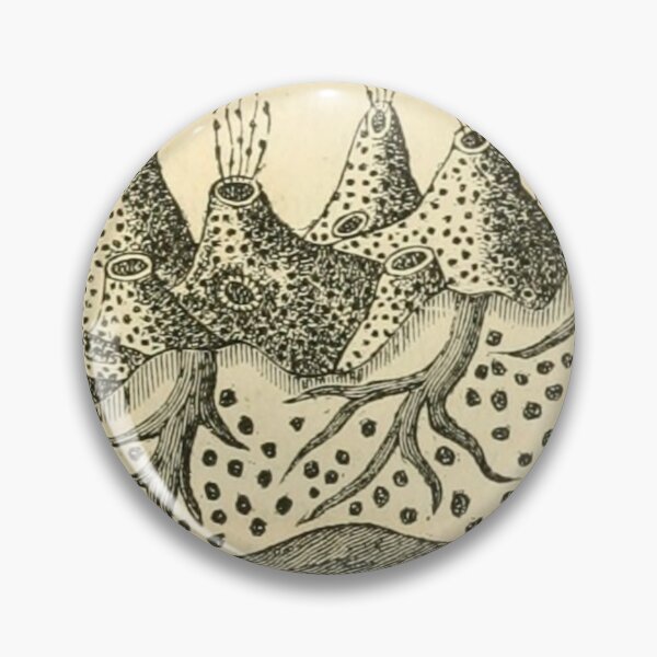 Item preview, Sea Sponge Anatomy  designed and sold by BlueSpecsStudio.
