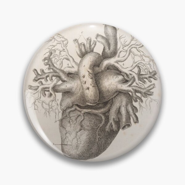 Item preview, Anatomical Heart designed and sold by BlueSpecsStudio.