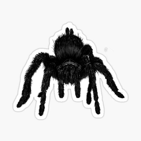 Tarentule Sticker