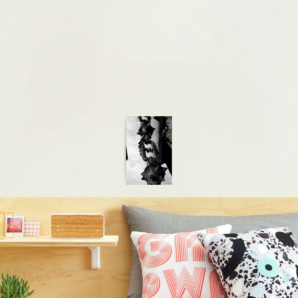 Item preview, Photographic Print designed and sold by CreativeKitty.