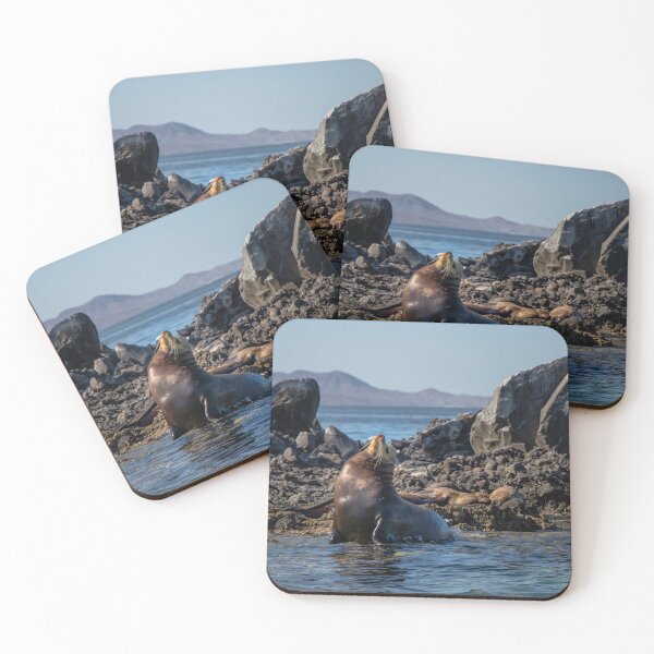 Item preview, Isla Espiritu Santo designed and sold by danett.