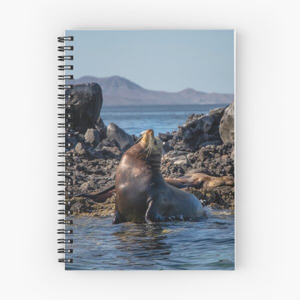 Item preview, Isla Espiritu Santo designed and sold by danett.