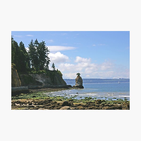 Item preview, Stanley Park Seawall 2 designed and sold by Tom  Reynen.