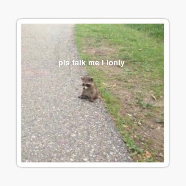 pls talk me i lonly racoon Sticker