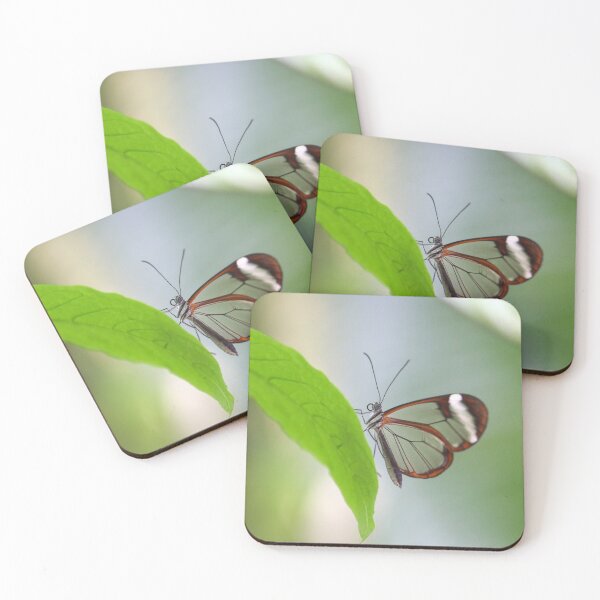 Item preview, Glasswing butterfly designed and sold by GreyFeatherPhot.