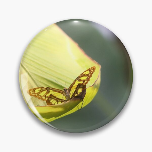 Item preview, Basking butterflies designed and sold by GreyFeatherPhot.