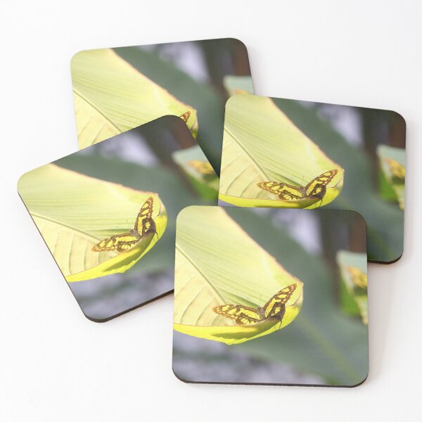 Item preview, Basking butterflies designed and sold by GreyFeatherPhot.