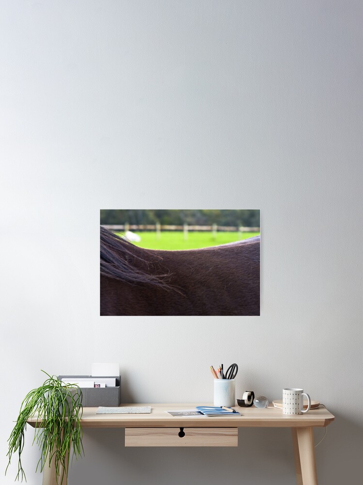 Aperçu 2 sur 3. Poster avec l'œuvre Saddle Landscape II créée et vendue par Rhoufi.
