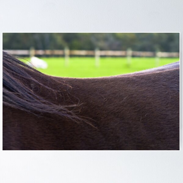 Item preview, Saddle Landscape II designed and sold by Rhoufi.