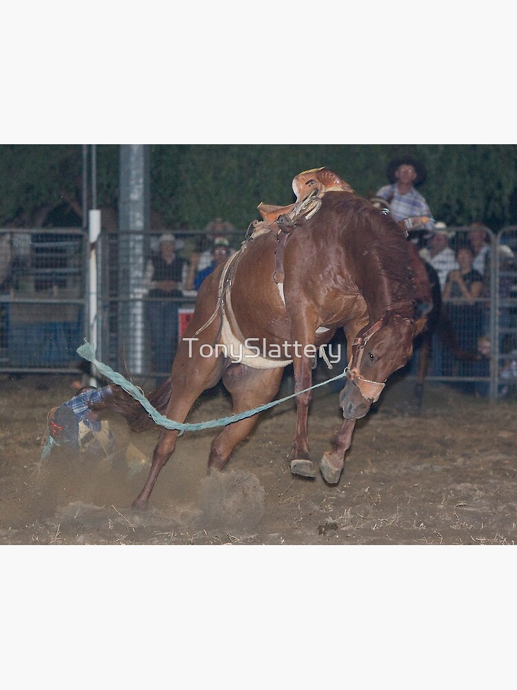 Moruya Rodeo New Years Day 2012 by TonySlattery