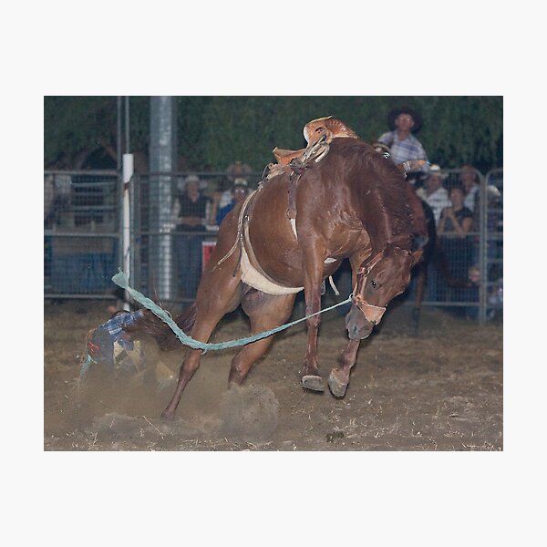 Moruya Rodeo New Years Day 2012 Photographic Print
