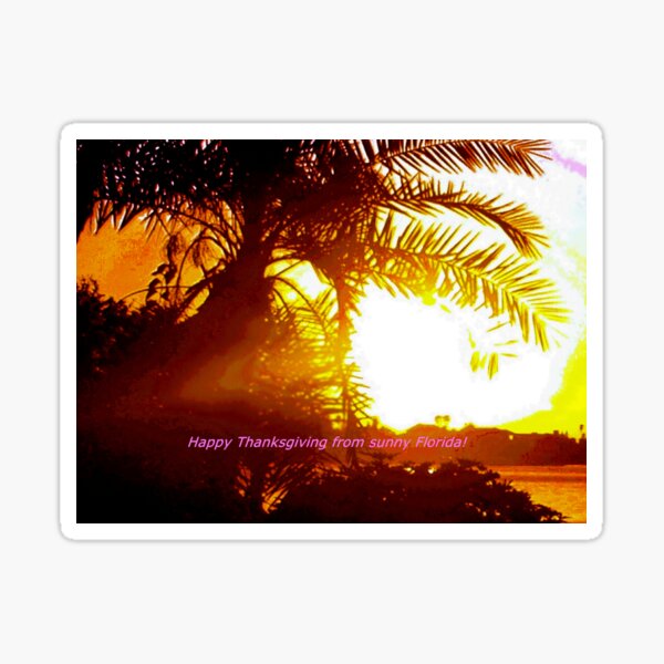 Item preview, Happy Thanksgiving from sunny Florida designed and sold by B. Randi Bailey.