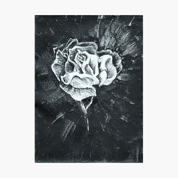 from the darkness Photographic Print
