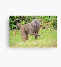 Beware of the Thief Canvas Print