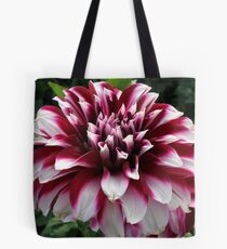 Two Tone Beauty Tote Bag