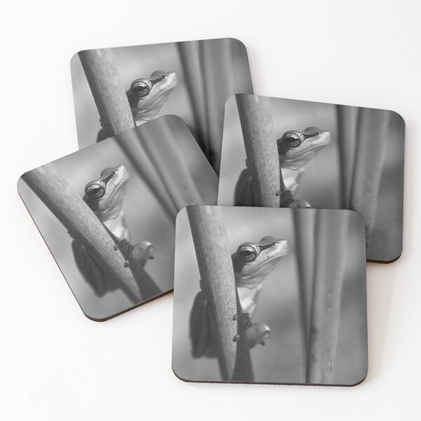 Item preview, A Slender Green Tree Frog Frog Frogs - Black And White designed and sold by Jason Gilbert.