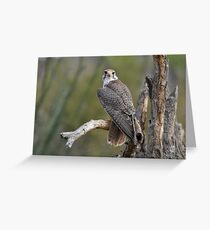 Eyes on you Greeting Card
