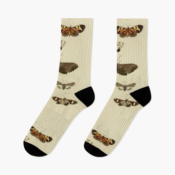 Item preview, Naturalist Moths designed and sold by BlueSpecsStudio.