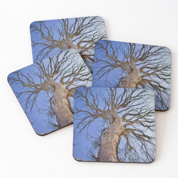 Item preview, Still Standing designed and sold by AcaciaStudio.