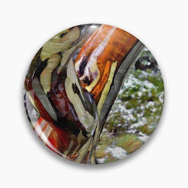 Item preview, Snow Gum Show designed and sold by AcaciaStudio.