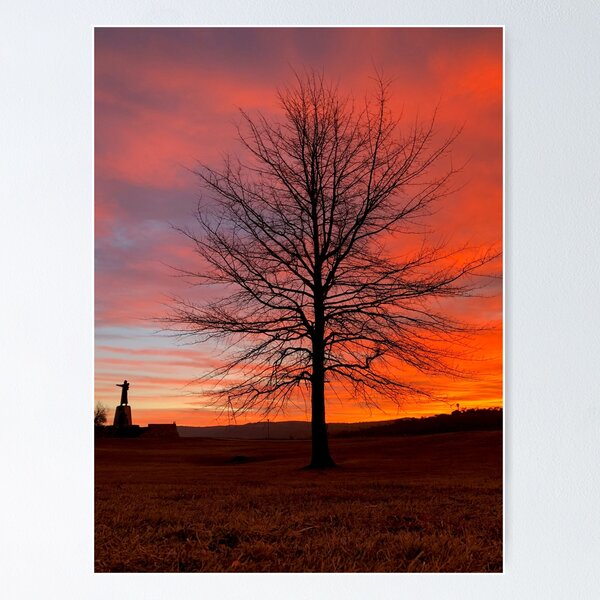 Item preview, Winter Sunrise designed and sold by AcaciaStudio.