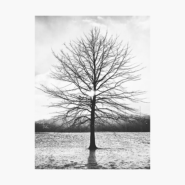 Item preview, Winter Mornings designed and sold by AcaciaStudio.