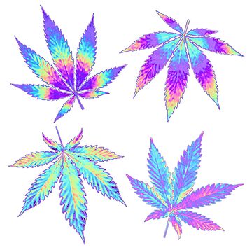 Artwork thumbnail, Cannabis Leaf Purple Kush by dinaaaaaah