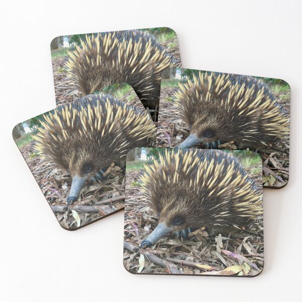Item preview, Echidna designed and sold by AcaciaStudio.