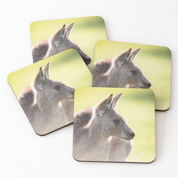 Item preview, Kangaroo designed and sold by damnrightmyfoto.