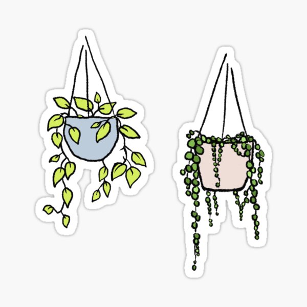 Hanging plant decal stickers, Laptop stickers