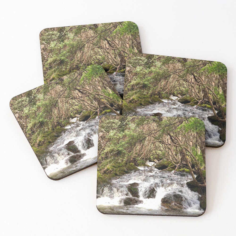 Item preview, Coasters (Set of 4) designed and sold by AcaciaStudio.