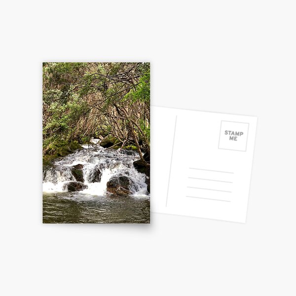 Item preview, Spring Flow designed and sold by AcaciaStudio.
