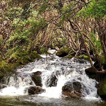 Artwork thumbnail, Spring Flow by AcaciaStudio