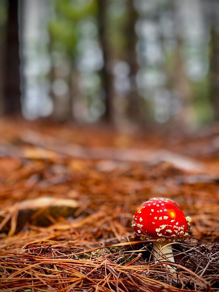 Thumbnail 4 of 4, iPhone Case, Toadstool designed and sold by AcaciaStudio.
