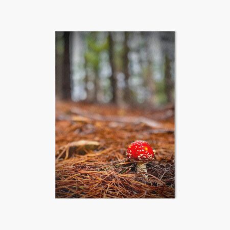 Item preview, Toadstool designed and sold by AcaciaStudio.