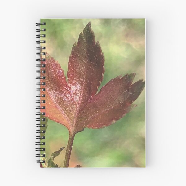 Item preview, Fall Leaf In Spring  designed and sold by Paula Betz.