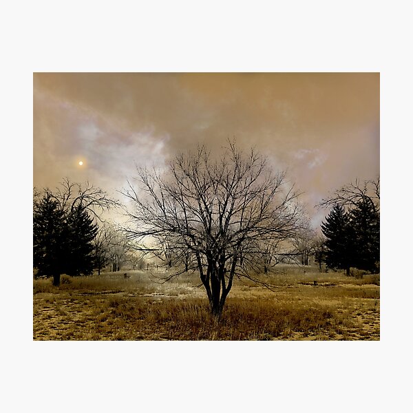 Item preview, 5014 designed and sold by peter holme III.