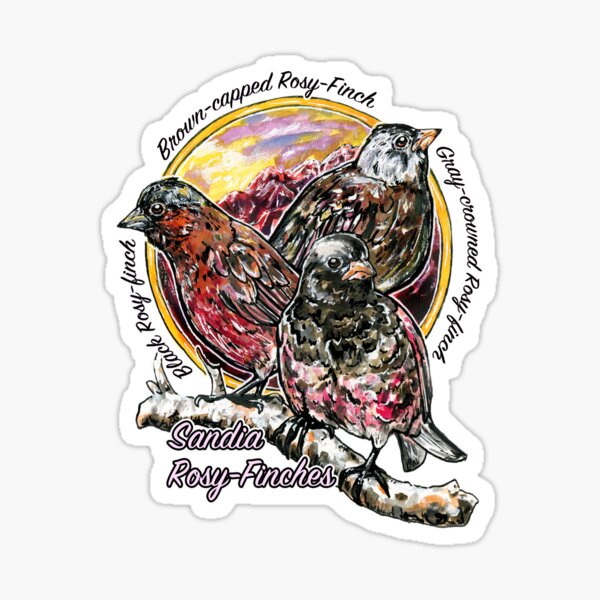 Item preview, Sandia Rosy-Finches designed and sold by Christina Baal.