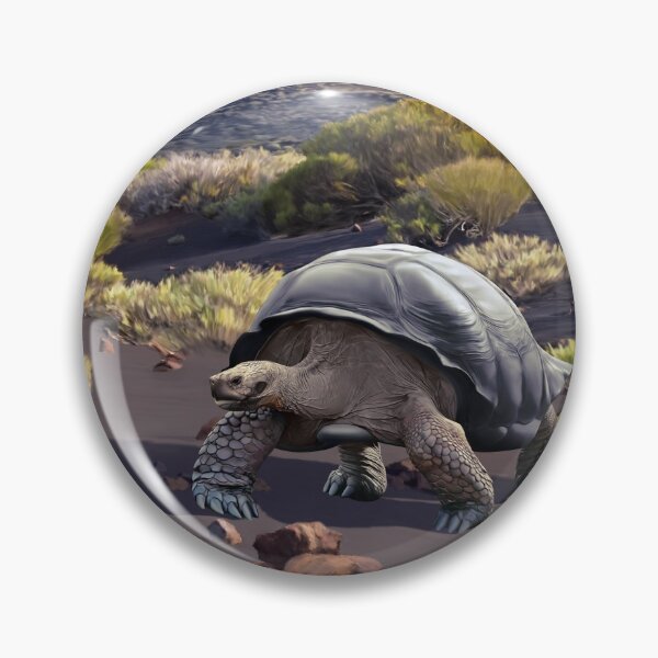 Item preview, Tenerife giant tortoise designed and sold by Carlos Vermeersch Santana.