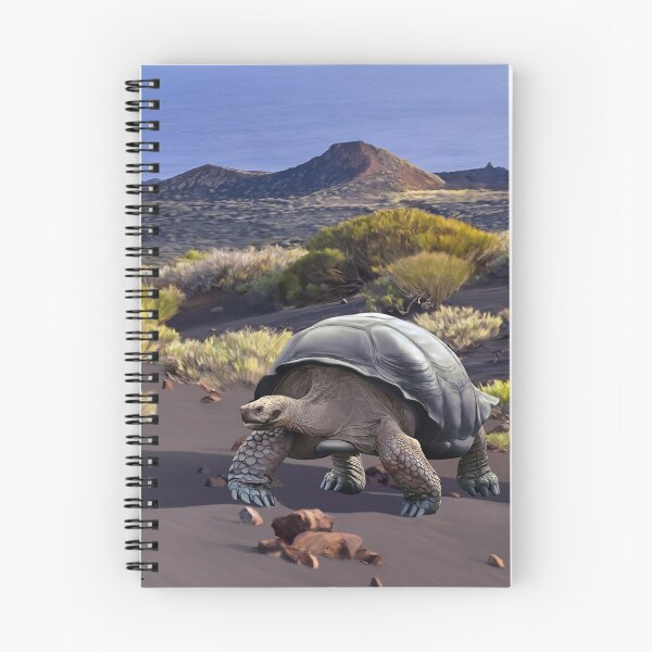 Item preview, Tenerife giant tortoise designed and sold by Carlos Vermeersch Santana.