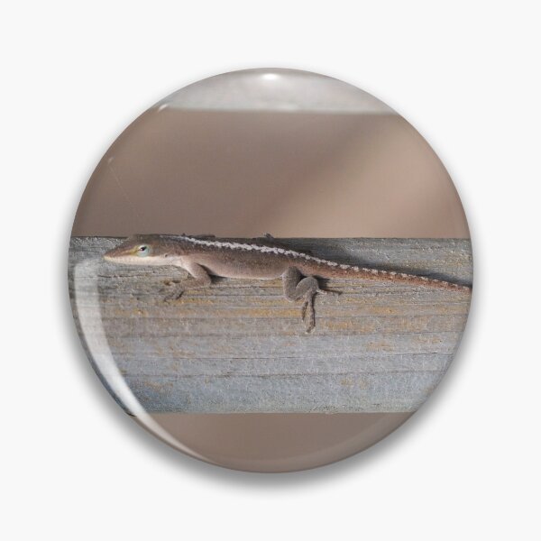 Artikelvorschau, Brown Anole entworfen und verkauft von Nature's Reflections.