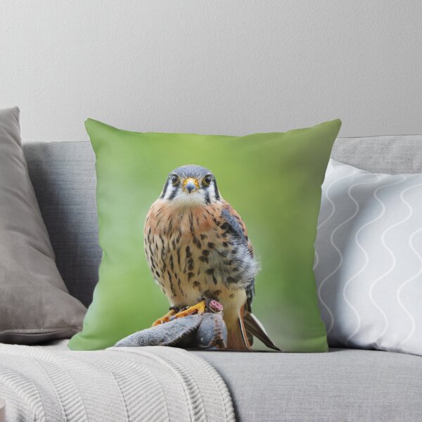Item preview, Kestrel 1 designed and sold by Nature's Reflections.